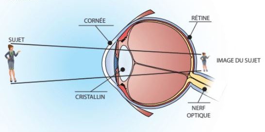 visuelle désignant l’ensemble des symptômes de fatigues oculaires. Caractérisée par un inconfort visuel et un dysfonctionnement musculaire l'asthénopie se traduit par des maux de tête, une perte de concentration, une fatigue anormale et une potentielle baisse de vue pouvant être floue. Les symptômes peuvent être temporaires ou permanents. 